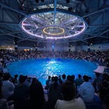 マクセル アクアパーク品川に投稿された画像（2021/11/22）