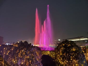 東京メガイルミに投稿された画像（2021/11/22）