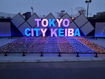 東京メガイルミに投稿された画像（2021/11/22）