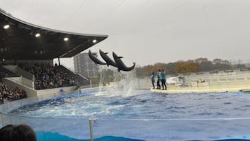 京都水族館に投稿された画像（2021/11/22）