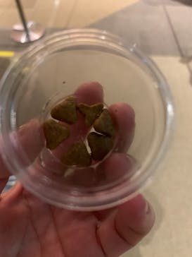 Moff animal world MARK IS みなとみらい店に投稿された画像（2021/11/22）