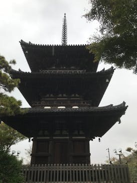 三溪園に投稿された画像（2021/11/22）