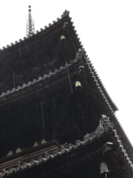 三溪園に投稿された画像（2021/11/22）