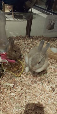 Moff animal world MARK IS みなとみらい店に投稿された画像（2021/11/22）