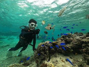 DIVING-SHOP SUNSに投稿された画像（2021/11/22）