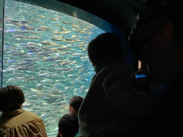 サンシャイン水族館に投稿された画像（2021/11/22）