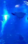 京都水族館に投稿された画像（2021/11/22）