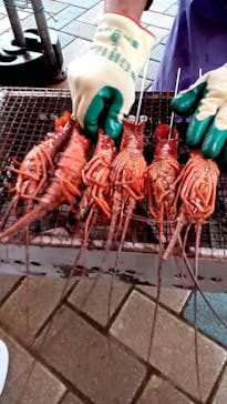 志摩市浜島磯体験施設 海ほおずきに投稿された画像（2021/11/22）