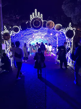 ひらかたパークに投稿された画像（2021/11/22）