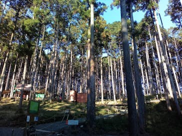 アドベンチャーパーク　オドルの森に投稿された画像（2021/11/22）