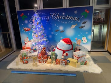 新江ノ島水族館に投稿された画像（2021/11/22）