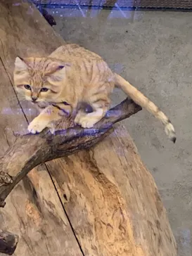 神戸どうぶつ王国に投稿された画像（2021/11/22）