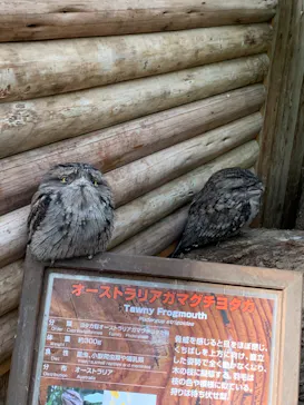 神戸どうぶつ王国に投稿された画像（2021/11/22）