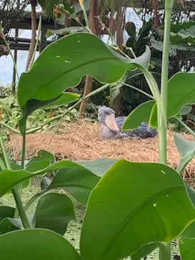 神戸どうぶつ王国に投稿された画像（2021/11/22）