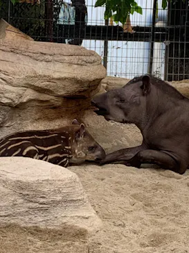 神戸どうぶつ王国に投稿された画像（2021/11/22）