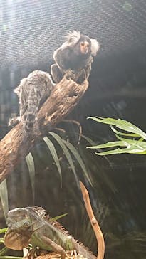 カワスイ 川崎⽔族館に投稿された画像（2021/11/22）