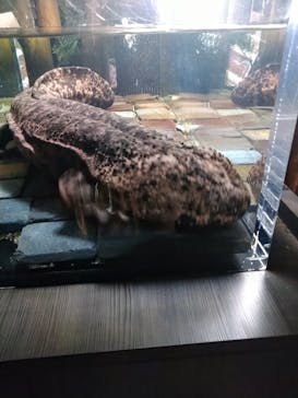 京都水族館に投稿された画像（2021/11/22）