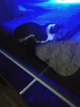 京都水族館に投稿された画像（2021/11/22）