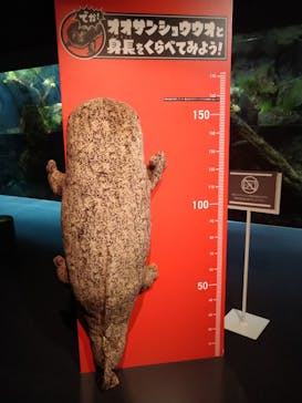 京都水族館に投稿された画像（2021/11/22）