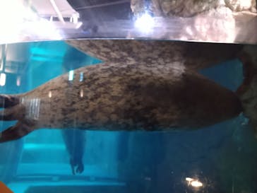 京都水族館に投稿された画像（2021/11/22）