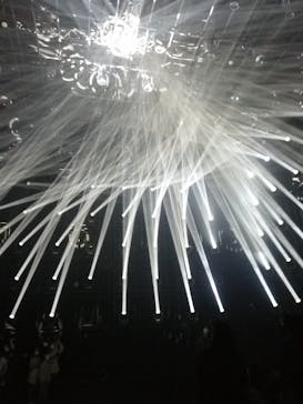 森ビル デジタルアート ミュージアム：エプソン チームラボボーダレスに投稿された画像（2021/11/22）