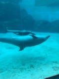 名古屋港水族館に投稿された画像（2021/11/22）
