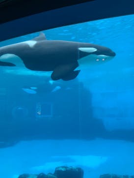 名古屋港水族館に投稿された画像（2021/11/22）