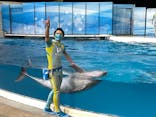 新江ノ島水族館に投稿された画像（2021/11/22）