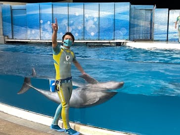 新江ノ島水族館に投稿された画像（2021/11/22）