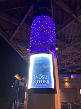 新江ノ島水族館に投稿された画像（2021/11/22）