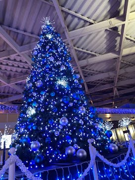 新江ノ島水族館に投稿された画像（2021/11/22）