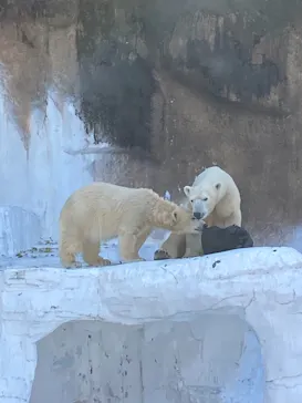 天王寺動物園に投稿された画像（2021/11/22）