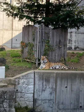天王寺動物園に投稿された画像（2021/11/22）
