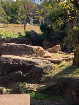 天王寺動物園に投稿された画像（2021/11/22）