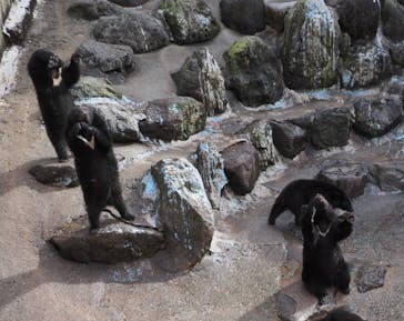 奥飛騨クマ牧場に投稿された画像（2021/11/22）