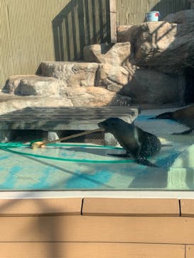 サンシャイン水族館に投稿された画像（2021/11/22）