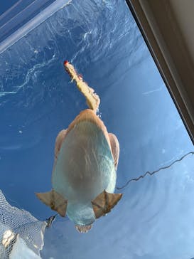 サンシャイン水族館に投稿された画像（2021/11/22）