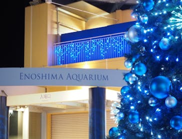 新江ノ島水族館に投稿された画像（2021/11/22）