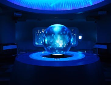 新江ノ島水族館に投稿された画像（2021/11/22）