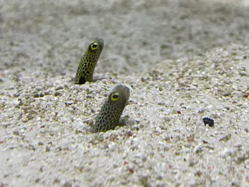 すみだ水族館に投稿された画像（2021/11/22）