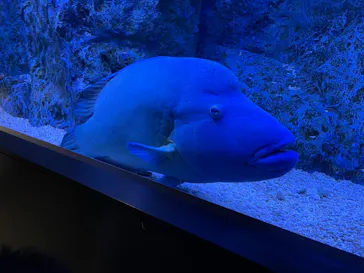 すみだ水族館に投稿された画像（2021/11/22）