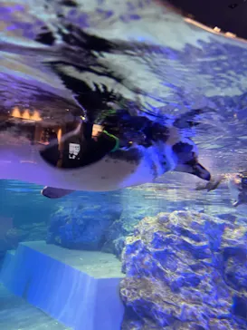 すみだ水族館に投稿された画像（2021/11/22）