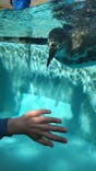 下田海中水族館に投稿された画像（2021/11/20）