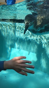 下田海中水族館に投稿された画像（2021/11/20）