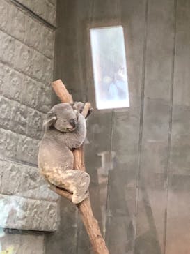 淡路ファームパーク イングランドの丘に投稿された画像（2021/11/22）