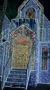 美らヤシパークオキナワ・東南植物楽園に投稿された画像（2021/11/22）