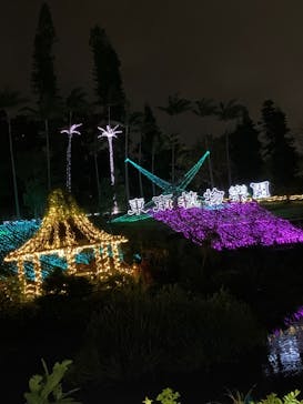 美らヤシパークオキナワ・東南植物楽園に投稿された画像（2021/11/22）