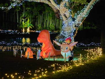 美らヤシパークオキナワ・東南植物楽園に投稿された画像（2021/11/22）