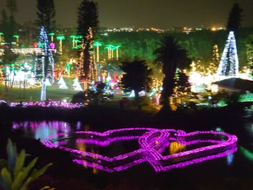 美らヤシパークオキナワ・東南植物楽園に投稿された画像（2021/11/22）