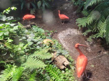 カワスイ 川崎⽔族館に投稿された画像（2021/11/22）